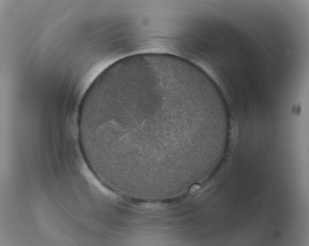 X0000111251468200907091411