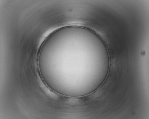 X0000111251470200907091411