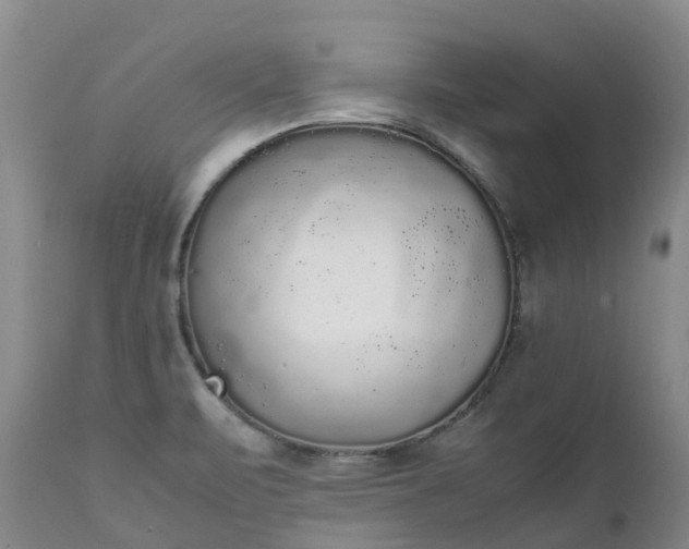 X0000111251471200907091411