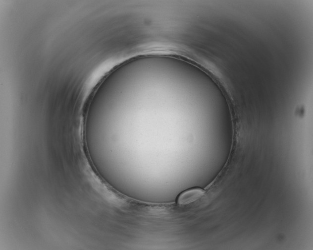 X0000111251472200907091411