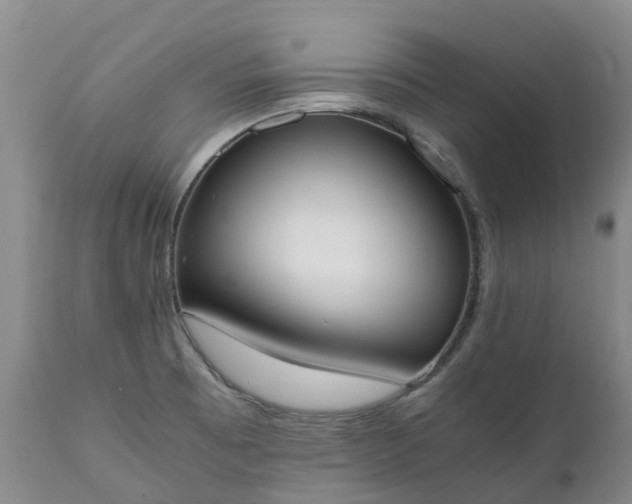 X0000111251473200907091411