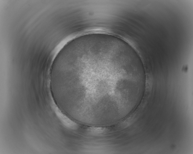 X0000111251474200907091411