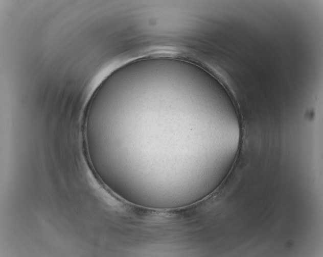 X0000111251475200907091411