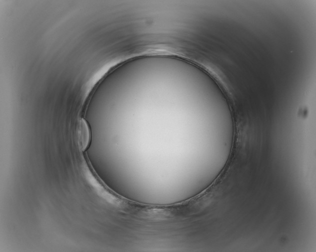 X0000111251476200907091411