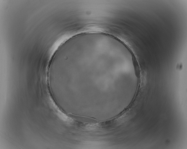 X0000111251477200907091411