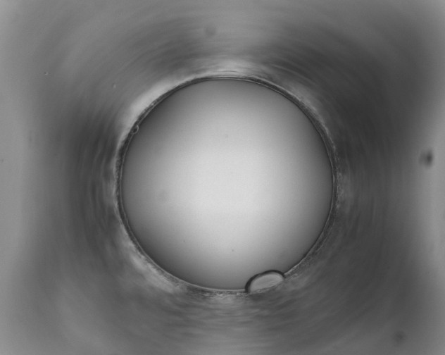 X0000111251480200907091411