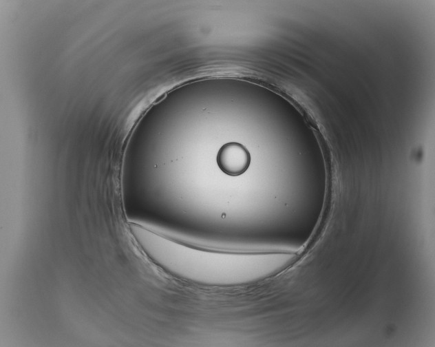 X0000111251481200907091411