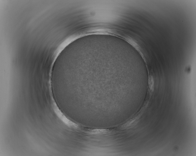 X0000111251482200907091411