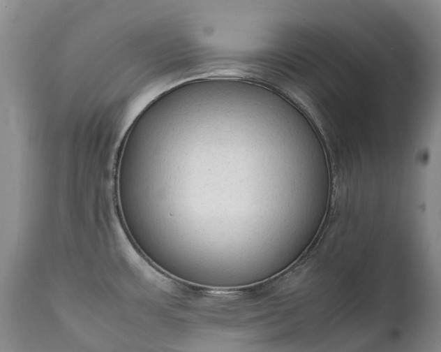 X0000111251483200907091411