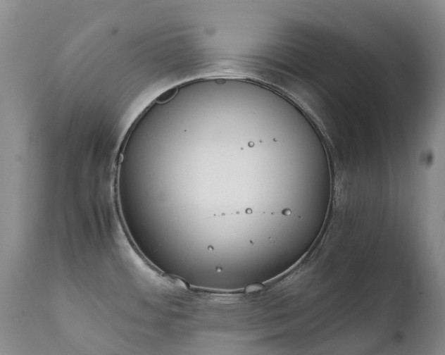 X0000111251484200907091411