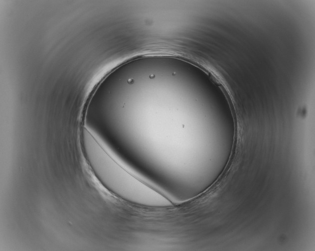 X0000111251485200907091411