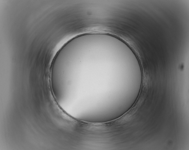 X0000111251486200907091411