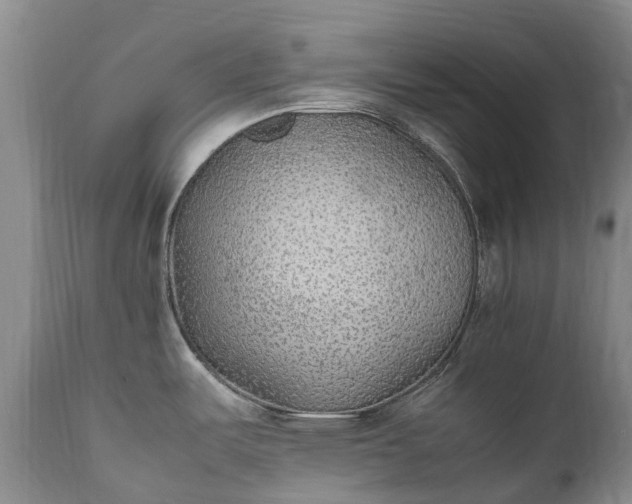 X0000111251487200907091411