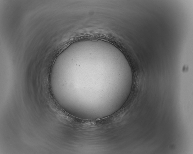X0000111251489200907091411