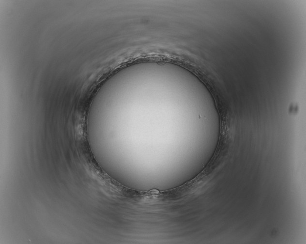 X0000111251490200907091411