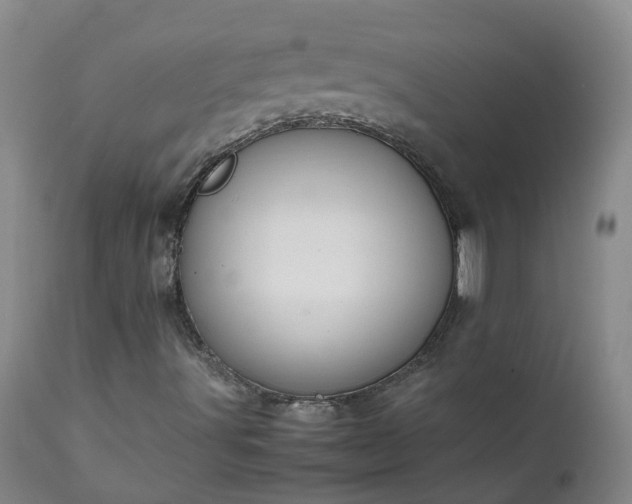 X0000111251491200907091411