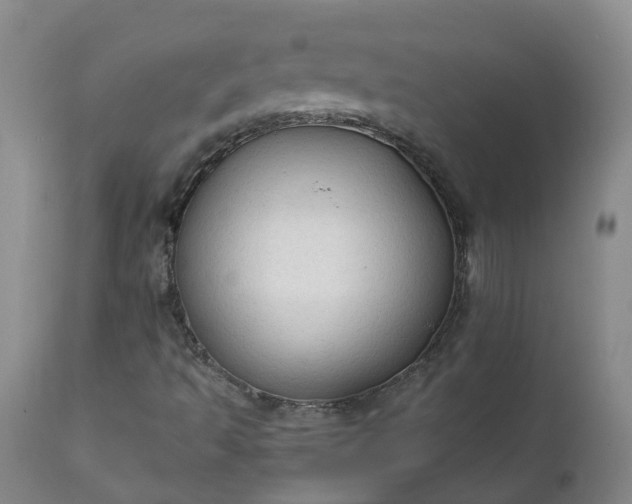 X0000111251493200907091411