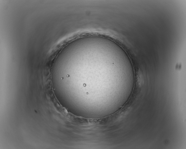 X0000111251494200907091411