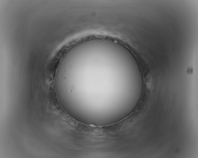 X0000111251495200907091411