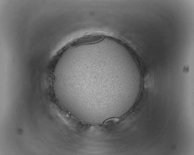 X0000111251496200907091411