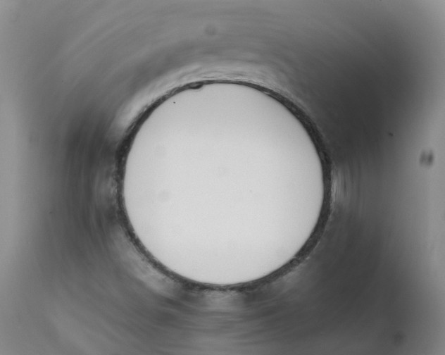 X0000111251498200907091411