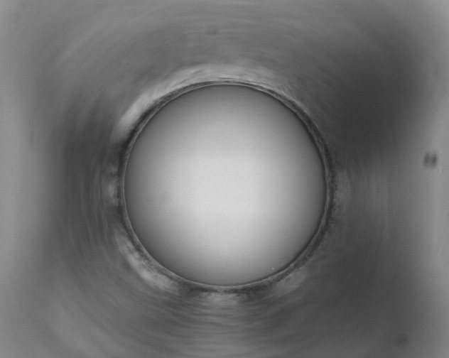 X0000111251499200907091411