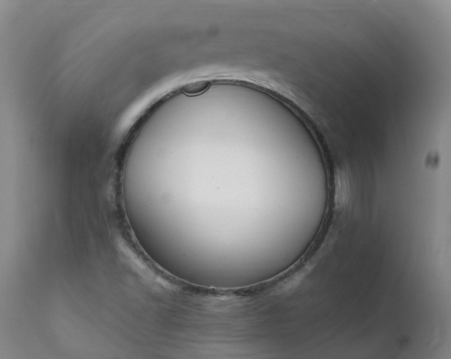 X0000111251502200907091411