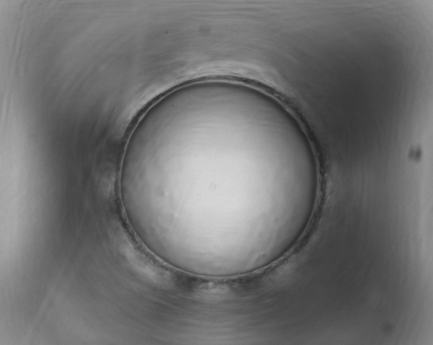 X0000111251505200907091411