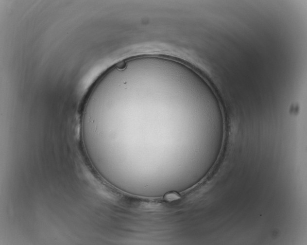 X0000111251509200907091411