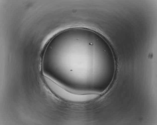X0000111251510200907091411