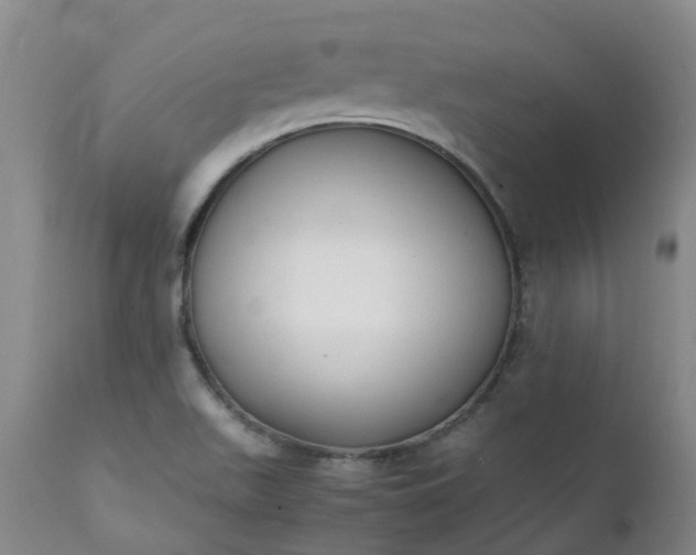 X0000111251511200907091411