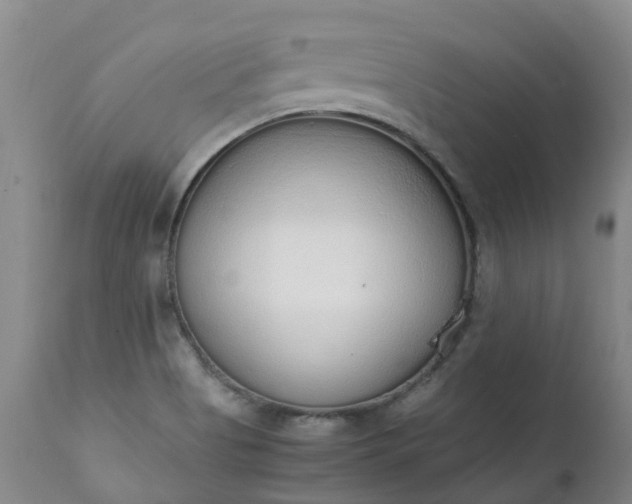 X0000111251513200907091411