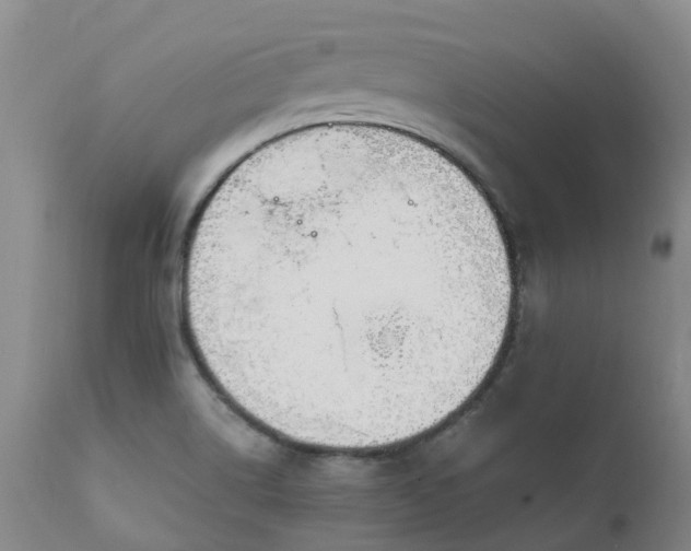 X0000111251514200907091411