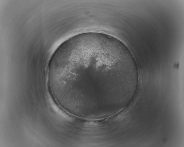 X0000111251515200907091411