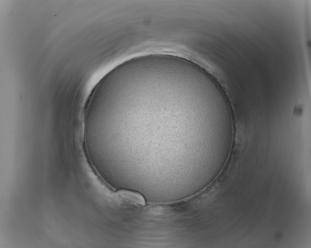 X0000111251520200907091411