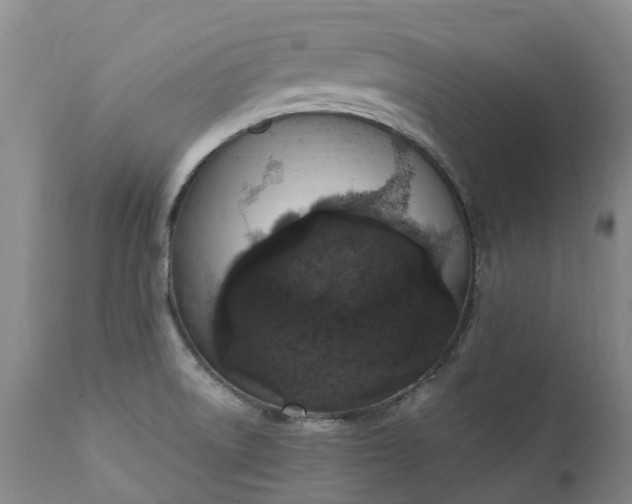 X0000111251522200907091411