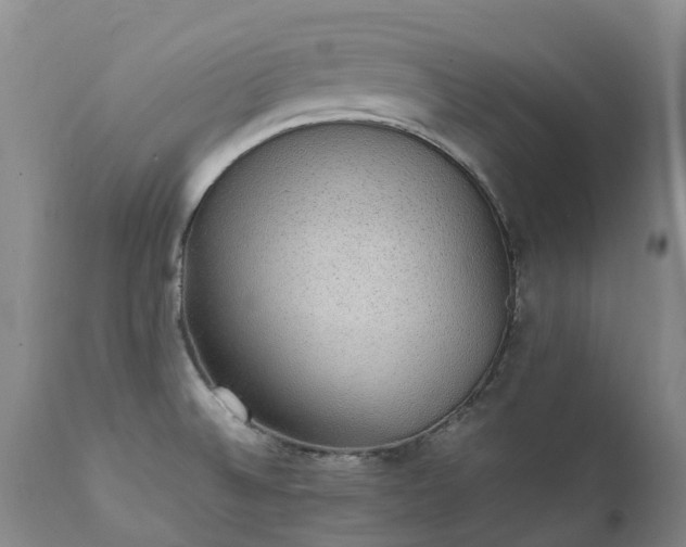 X0000111251524200907091411
