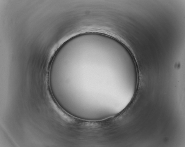 X0000111251525200907091411