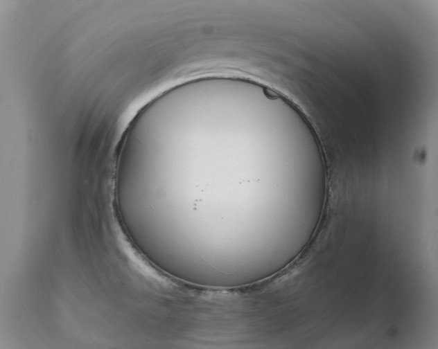 X0000111251526200907091411