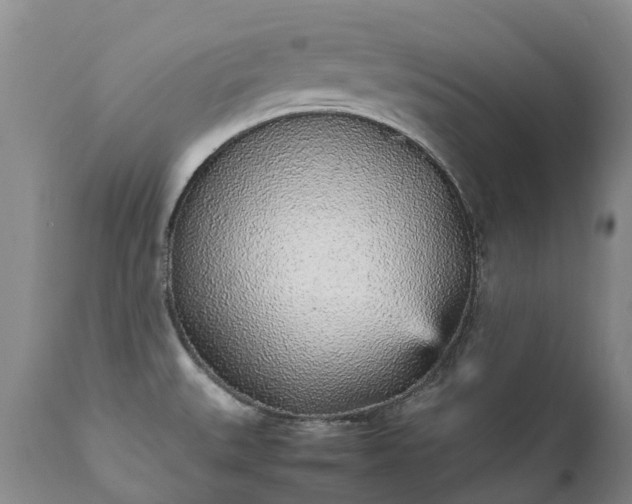 X0000111251527200907091411