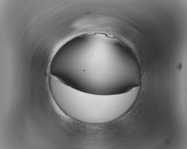 X0000111251528200907091411
