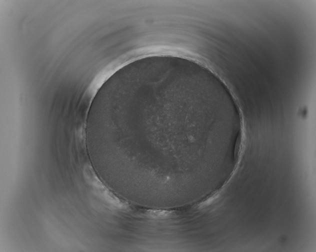 X0000111251529200907091411