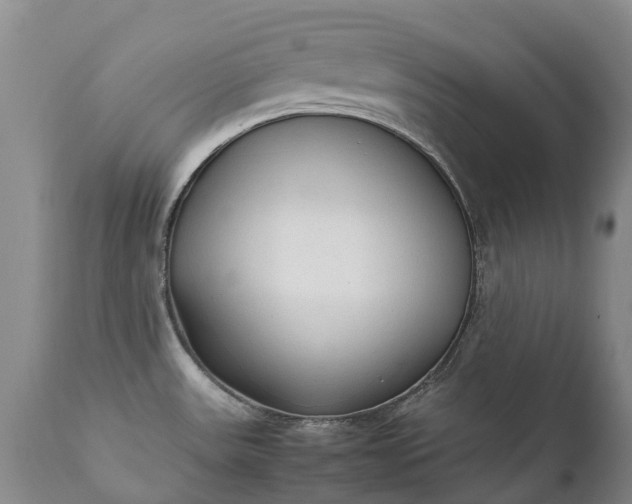 X0000111251531200907091411