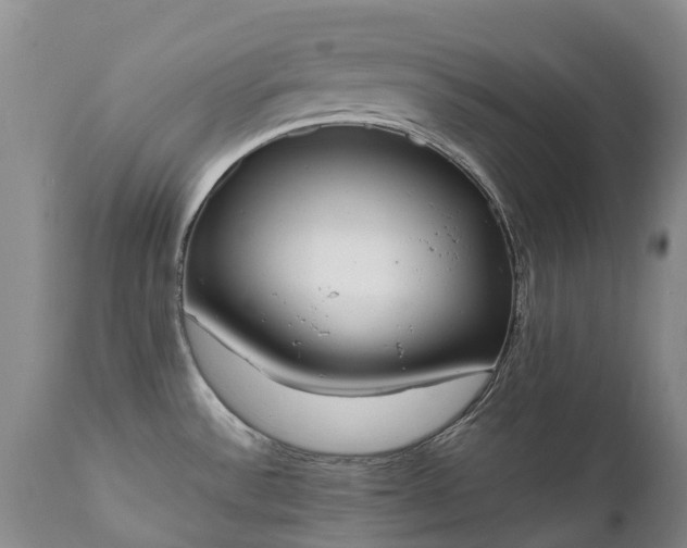 X0000111251532200907091411