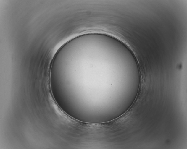 X0000111251534200907091411