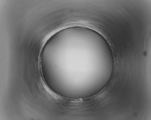 X0000111251535200907091411