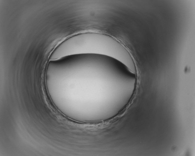 X0000111250001200907161416