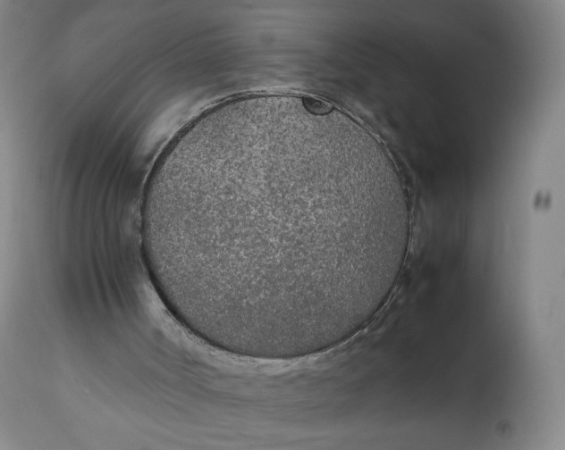 X0000111250002200907161416