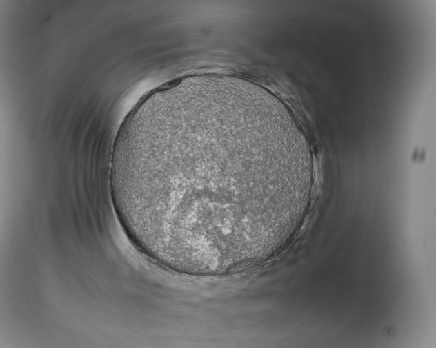 X0000111250003200907161416