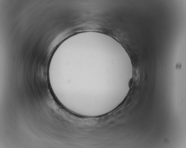 X0000111250004200907161416